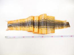 ヘビ革　オレンジ　最大巾20cm　146cm 0.4mm厚